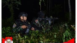 Perlahan Tapi Pasti Kekuatan TNI Masuk Operasi Tempur