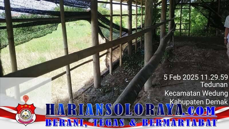 Carik Desa Kendalasem Diduga Menghindar dari Konfirmasi soal Bantuan Kerbau yang Raib